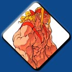 Alex artwork #4, Street Fighter 3