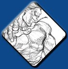 Dee Jay artwork #1, Street Fighter 2