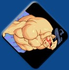 E. Honda artwork #3, Super Street Fighter 2 Turbo HD Remix