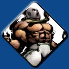 El Fuerte artwork #2, Street Fighter 4
