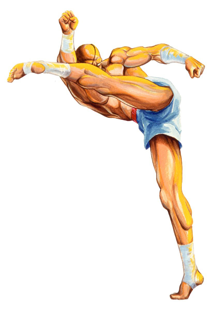Sagat artwork #2, Street Fighter 2: High resolution