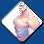 Sagat artwork #10, Street Fighter 2