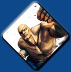Sagat artwork #4, Super Street Fighter 4