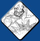 Zangief artwork #6, Street Fighter 2