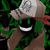 NecroWhip's avatar