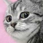 dhocke's avatar