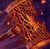 Sunforged_One's avatar