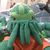 don_vare's avatar