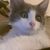 TRAZE818's avatar