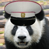 TorTorVega's avatar