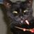 bunny's avatar