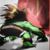 streetfighterjoe's avatar