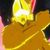 weaK_willO's avatar