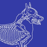 era's avatar
