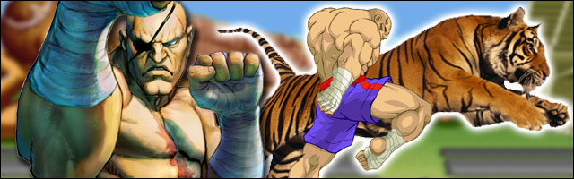 25_sagat.jpg