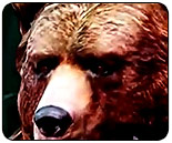 Can Maximilian strike back? Faces EventHubs' DreamKing in another Killer Instinct match