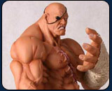 Exclusive Street Fighter toys at Comic Con 2008
