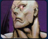 Street Fighter IV training manual