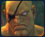 Top 50 SFIV players from Japan, character stats