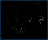 Capcom launches teaser site titled simply 'DD'