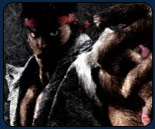 Seth: Street Fighter 5 out before 2019, keeping ideas locked down
