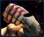New feature: Weekend events in the community