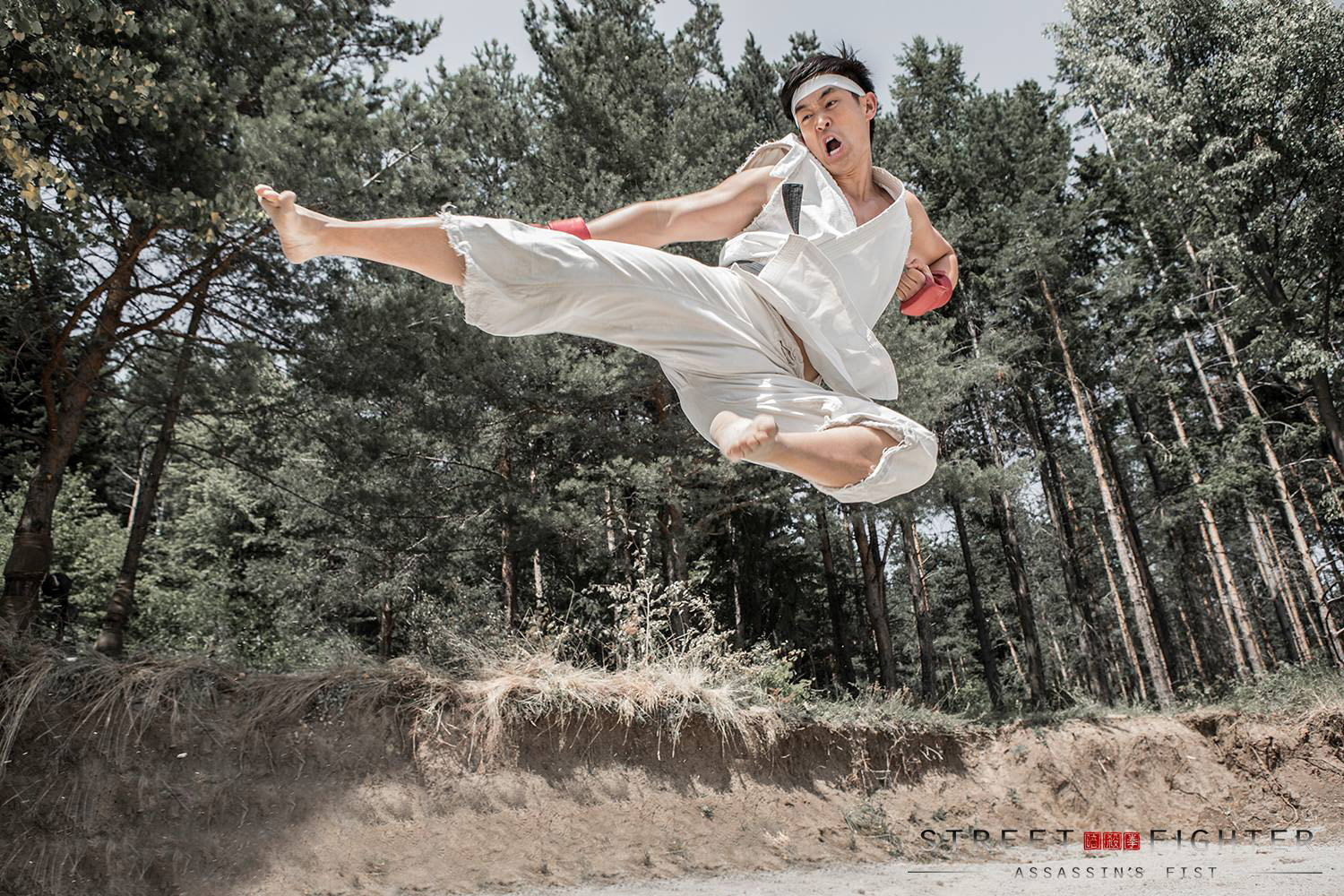 street fighter fist of assassin