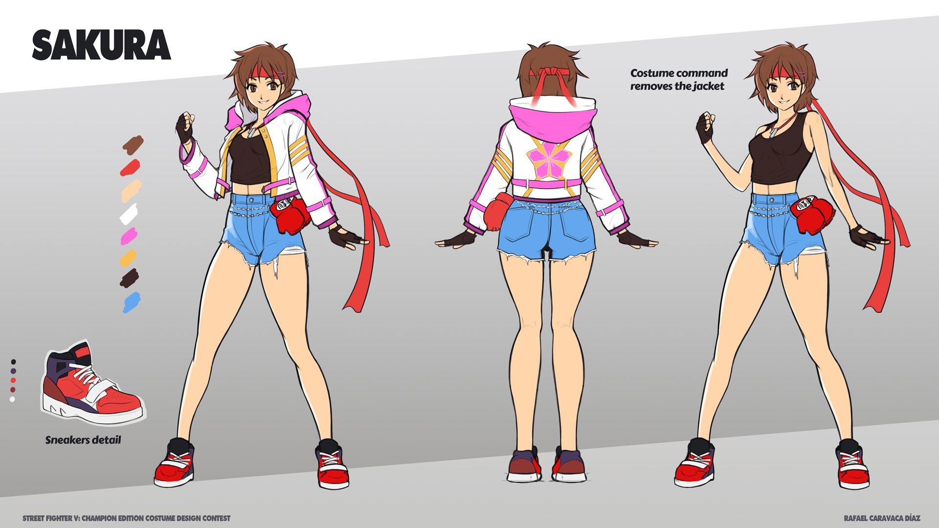 SF5 Fan Art Gallery 04 8 out of 14 image gallery