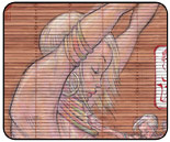 More artwork from the Jab Strong Fierce show