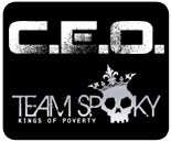 CEO 2011 results
