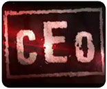 CEO 2012 results