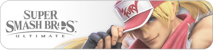 Terry stats, player maps, online system usage for Super Smash Bros ...